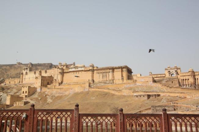 575095_386552478044786_153570138_n