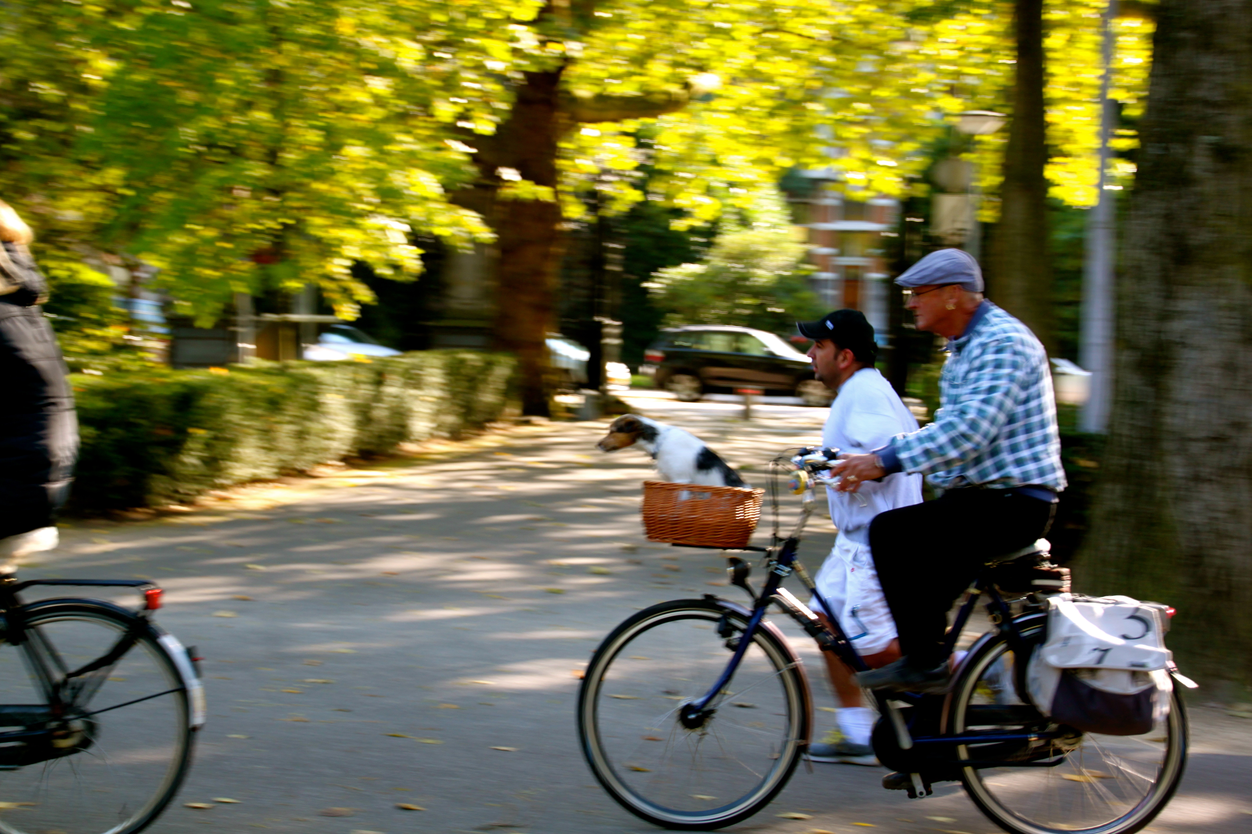 Vondelpark Amsterdam