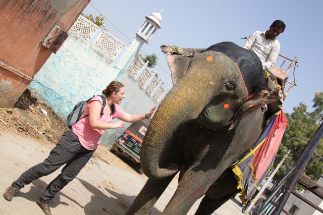 elefante jaipur Rosa acaricia al elefante sin perderle de vista ni un momento.