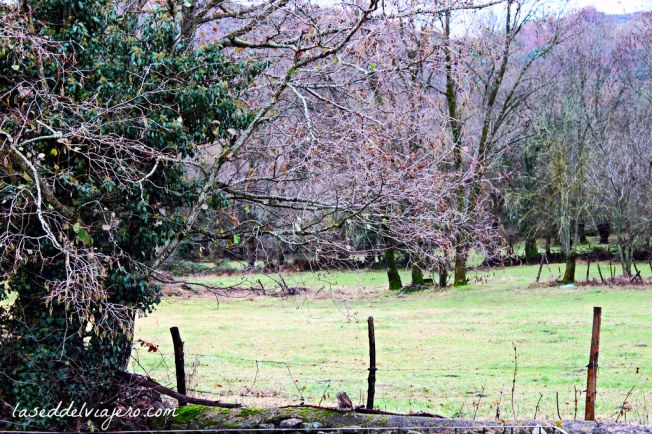 16981253026_46ea6da11b_b