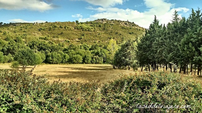 16981287586_717825b7f2_b