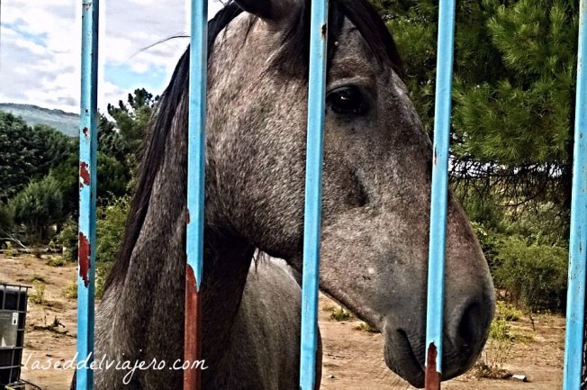 17007388015_e8f9d1e6ce_b